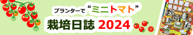 栽培日誌