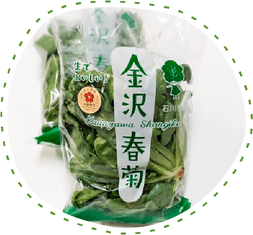 金沢春菊