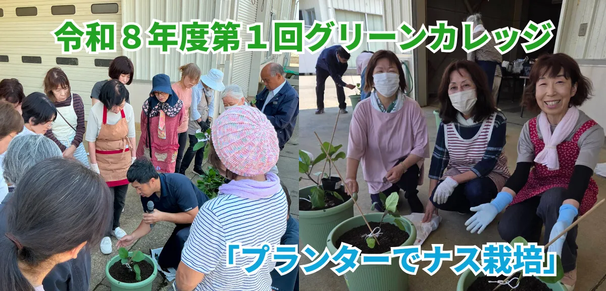 【グリーンカレッジ】プランターでナス栽培