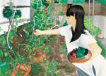 トマトを収穫する妹