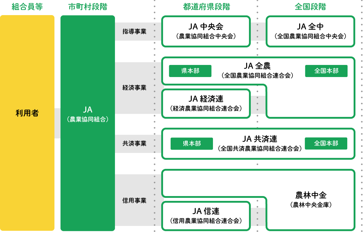 主な系統組織のしくみ