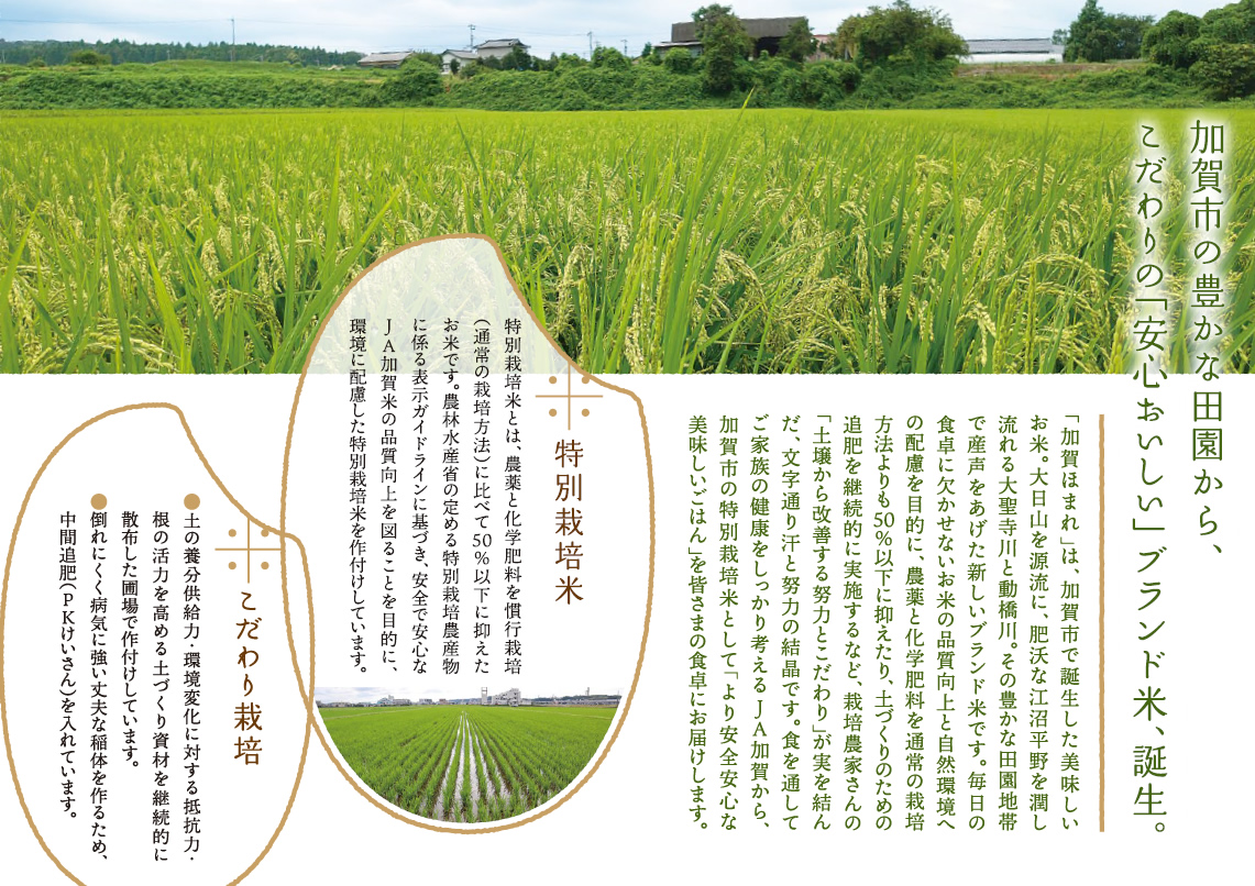 特別栽培米ガイドライン