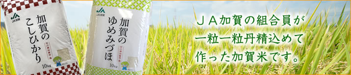 JA加賀のお米