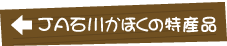 JA石川かほくの特産品