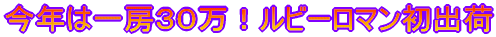 N͈[O\Ir[}o