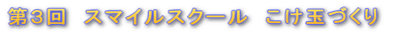 ��R��@�X�}�C���X�N�[�� �@�@�@�@�@�@�@�@�@�@�@�@�@�����ʂÂ���