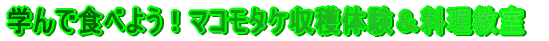 �w��ŐH�ׂ悤�I�}�R���^�P���n�̌�����������