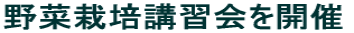 ��؍͔|�u�K����J��