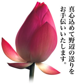 真心込めて野辺の送りをお手伝いいたします。