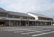 本店