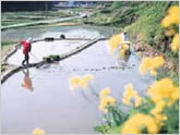 �\�o�̎��R�ʐ^