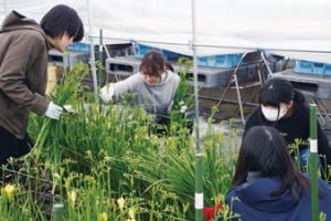学生ボランティア
