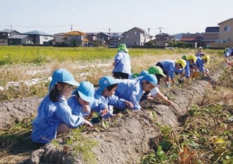 たくさん採れるかな